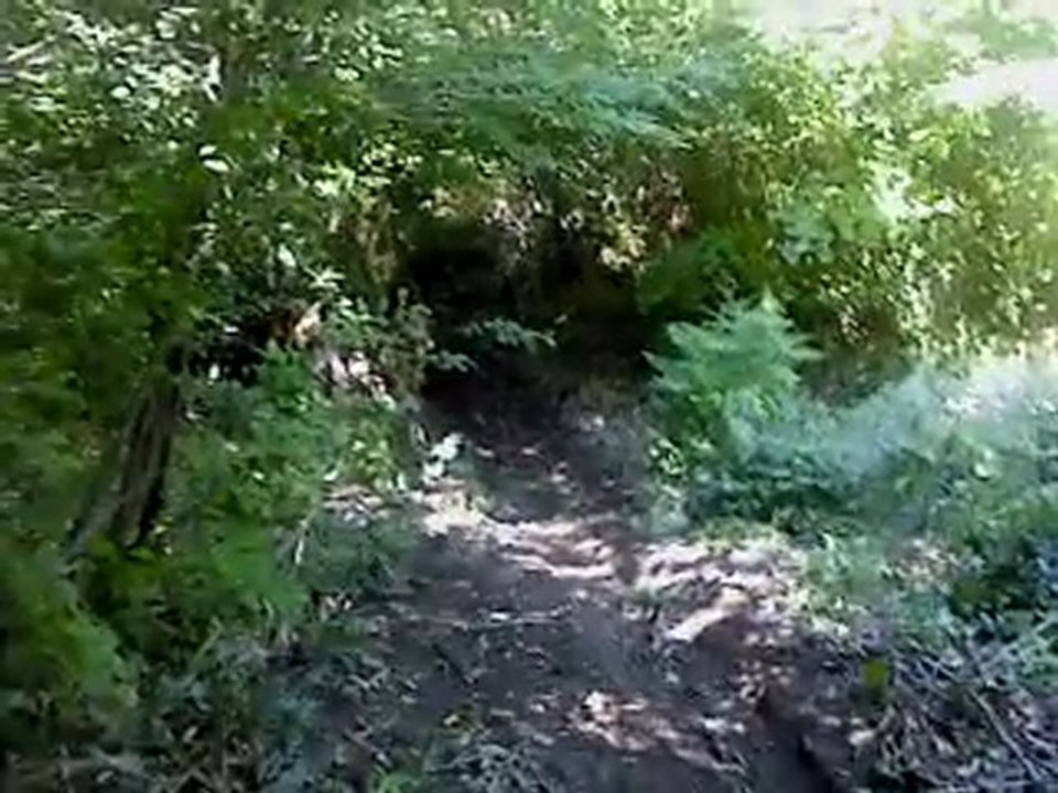 MOV00417
