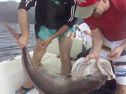 ANTALYA ADARASAN BALIK AVI TURUNDA JIGGING İLE AKYA AVI - adrasanbalik.com