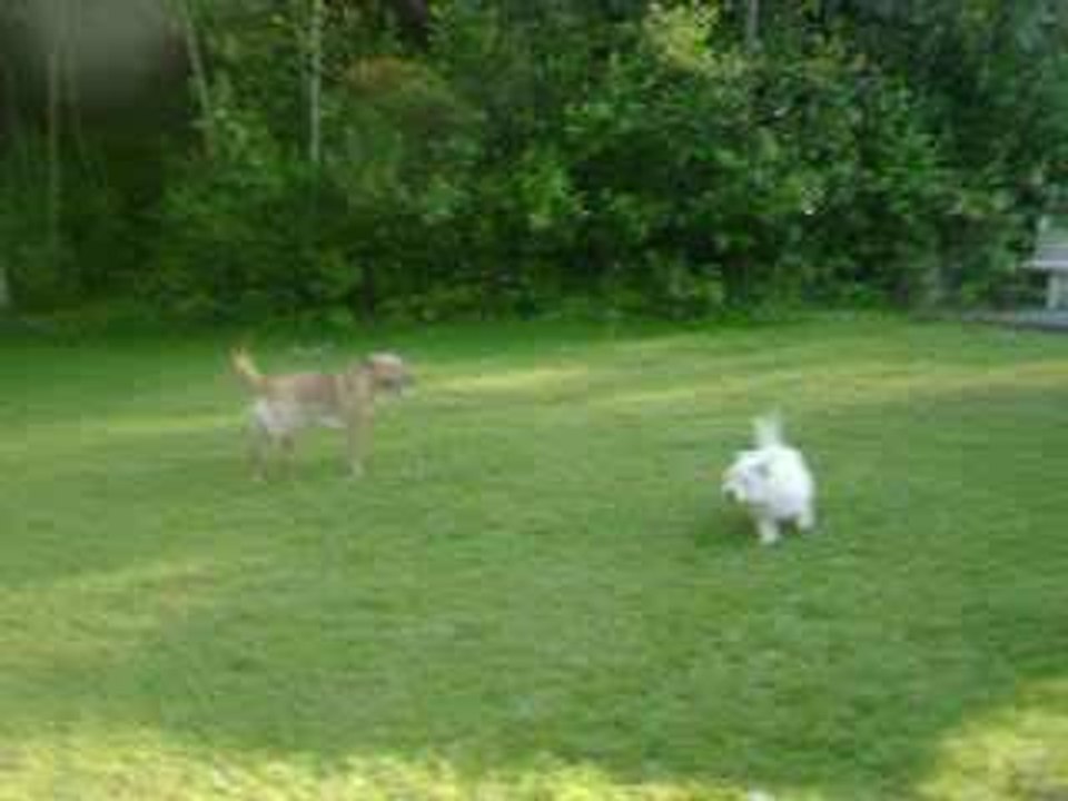 Dans le Jardin