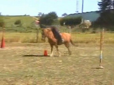 pony mounted games Brigade des stup's + Crazy team sponso