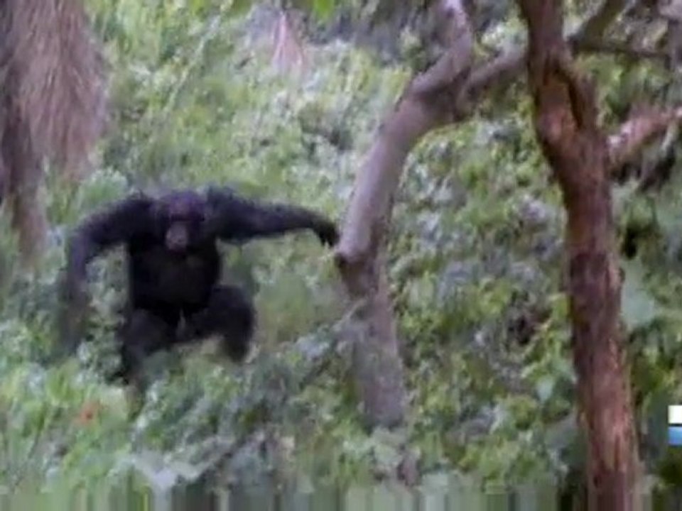 Bizarre ou quoi ? Episode 4 (3/3)