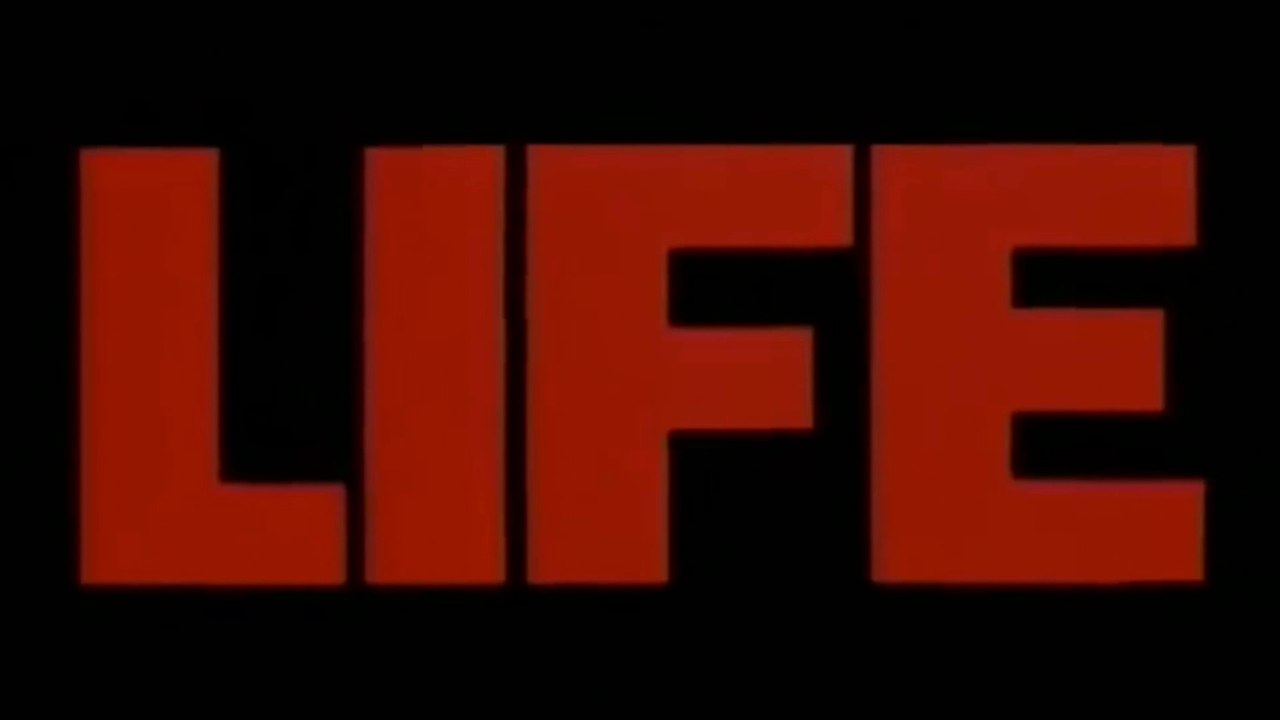 Life (1999) Trailer
