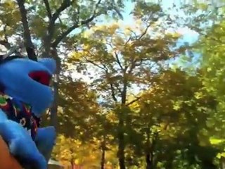 The Proposal (Muppet Proposal)