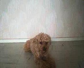 Mon gros bébé Part II