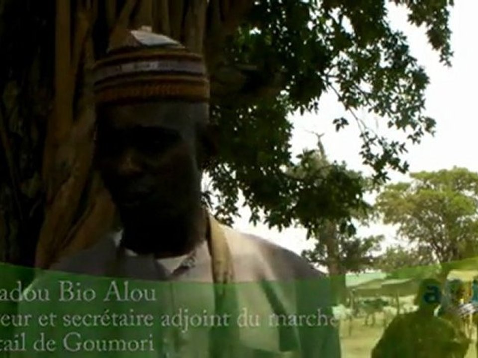 Bénin - Elevage