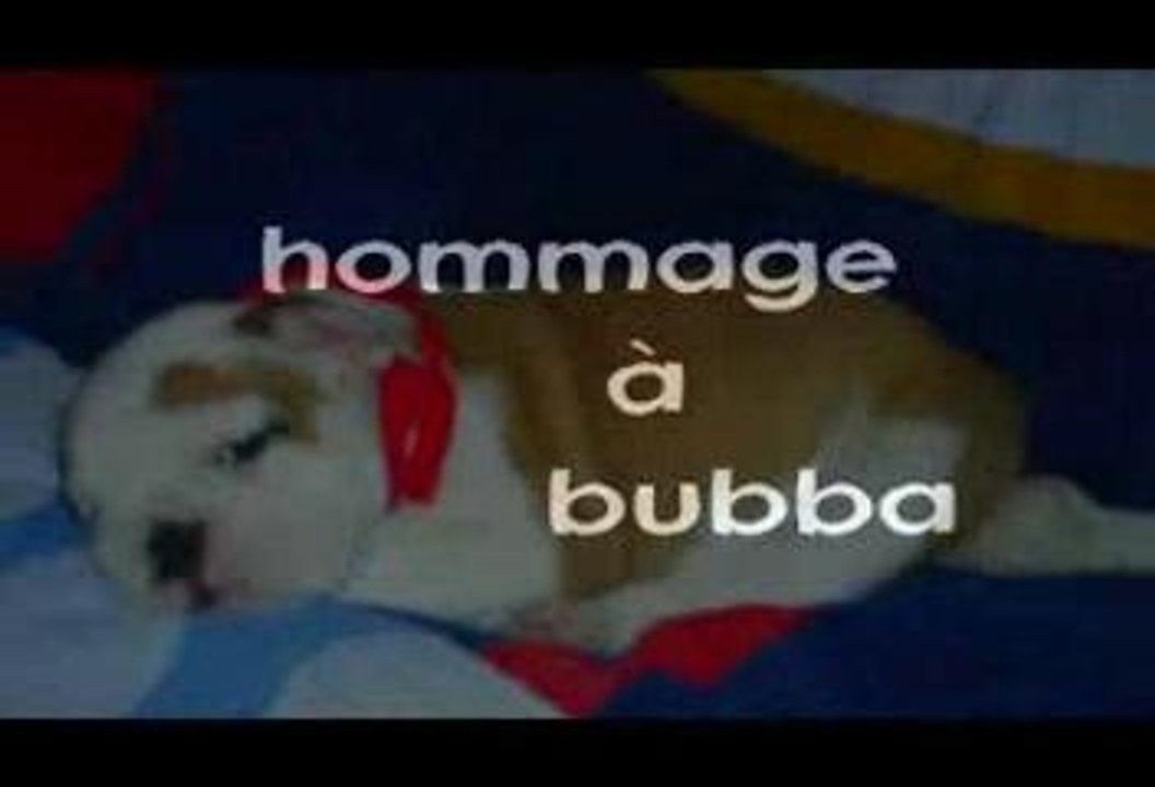Hommage a bubbi 2