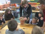 Atelier de la FREDON à l'école de Brebières