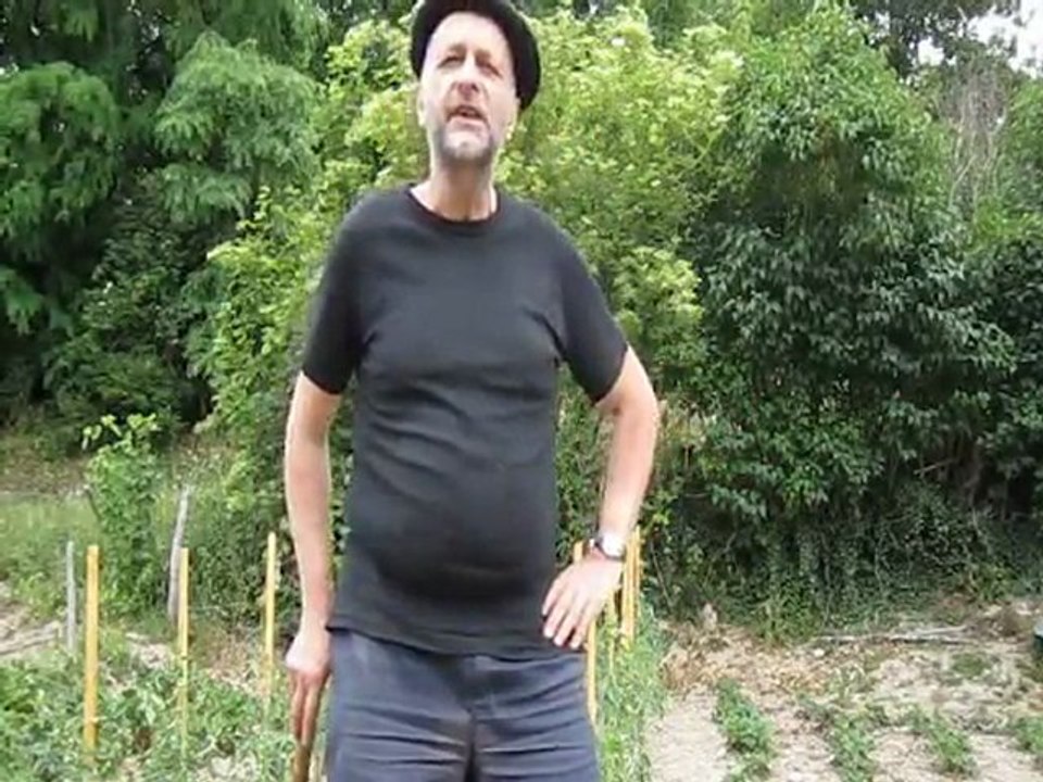 Mangez de la viande !!!