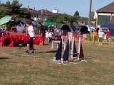 Taïga, Epagneul breton, concours d'agility de mondelange 29/05/11, open plus