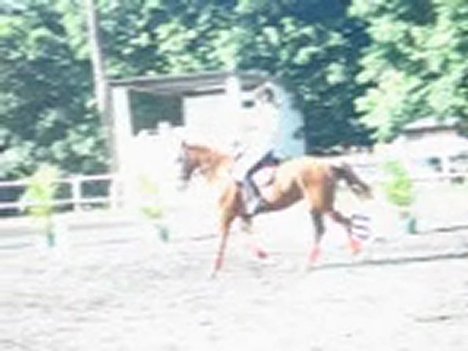 29.05.11 - RLM Marie Elfe 1/2