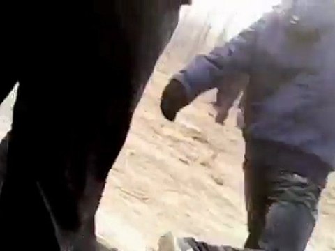 Bagarre à la pelle entre paysans chinois et gros bras du promoteur immobilier. Hebei / Février 2011