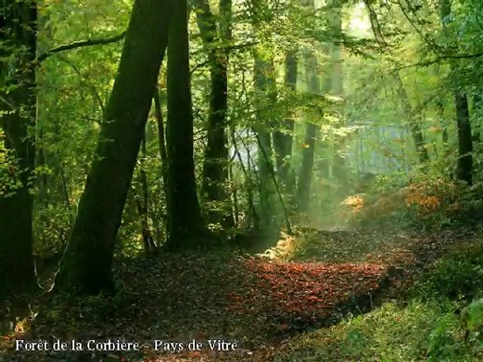 Espaces naturels sensibles d'Ille-et-Vilaine