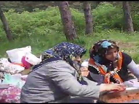İSTANBUL PİKNİK 2011-PİKNİK 1