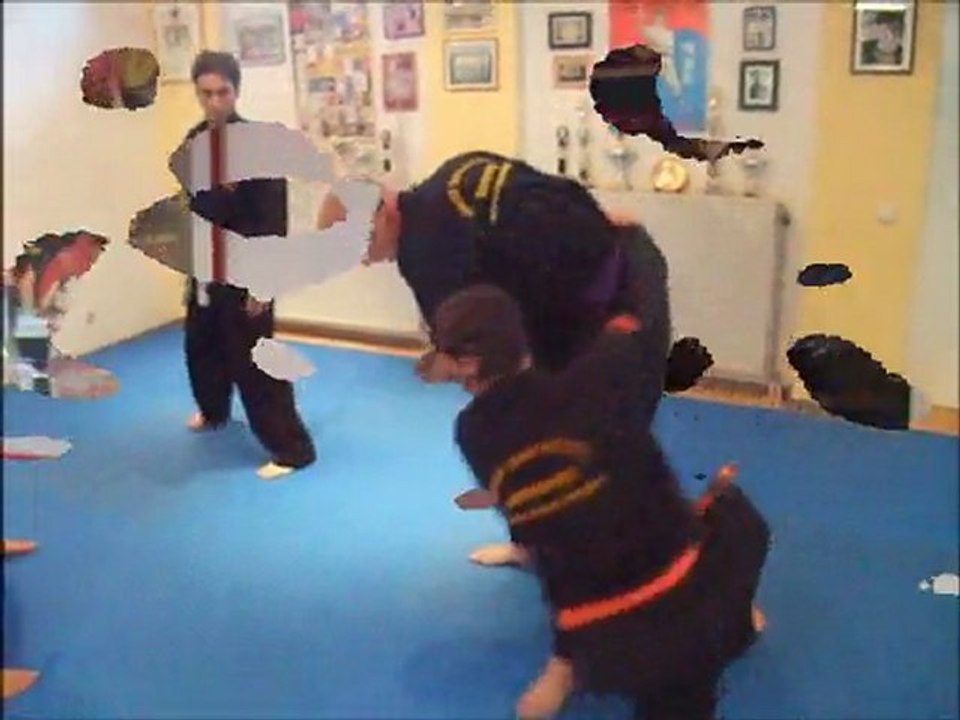Combat hapkido munich