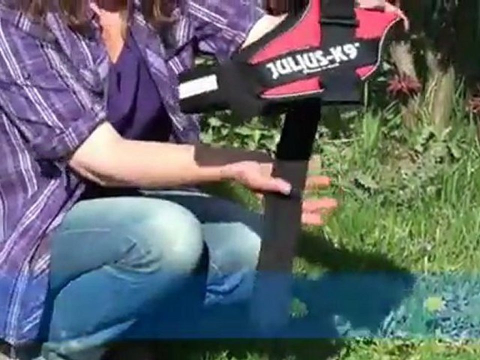 Julius k9 idc powergeschirr hundegeschirr