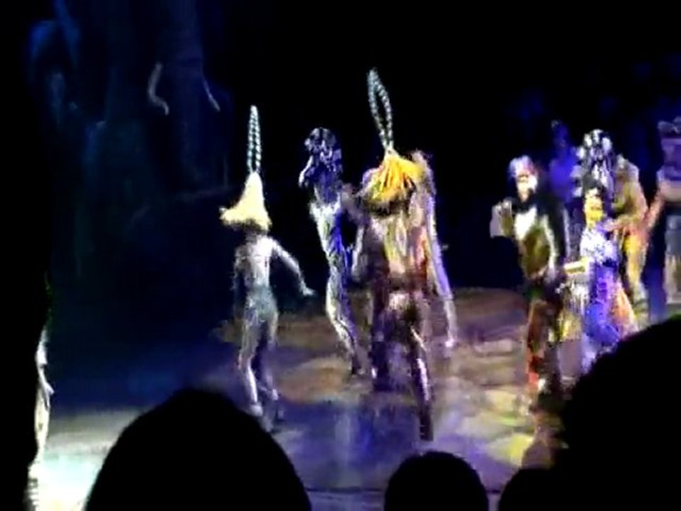 Hong Kong May 2011 HK Disneyland Lion King