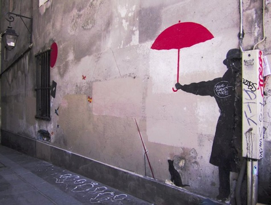 Le chat qui pêche Nemo