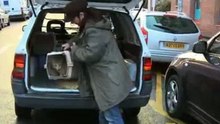 Lille Animal Services-Hébergement d'animaux Lille