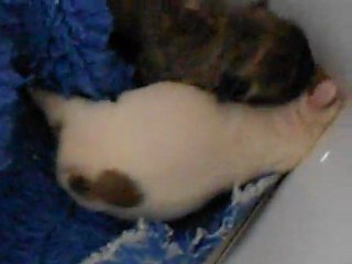 Bébé de Ever et Arthur