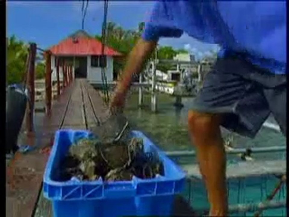 Hôtel Manihi Pearl Beach Resort à Tahiti, Polynésie
