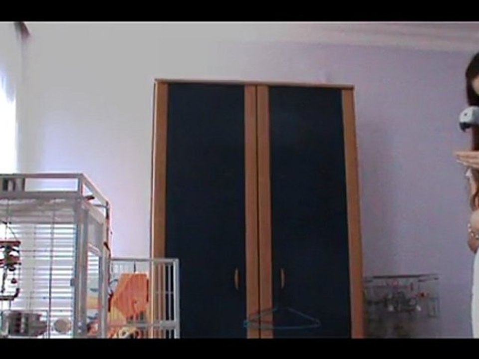 Papağan Maşuk'un Uçuş Eğitimi