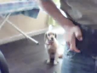 tout pour savoire faire des plaques de catche part 1/3