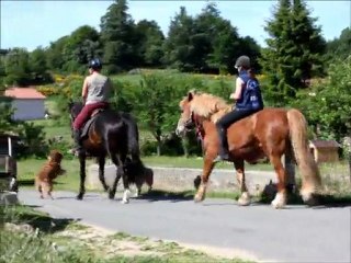 Balade chwal mai 2011