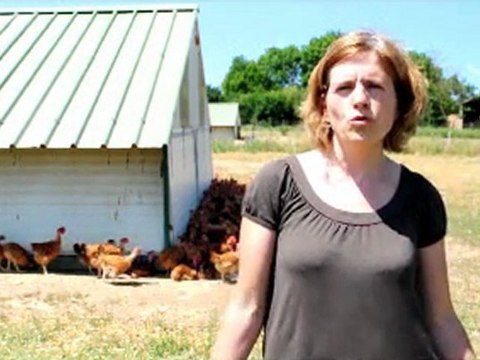 GAEC Samanais - l'élevage de volailles en plein air