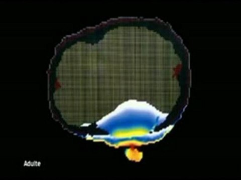Mauvaises ondes GSM DANGER 1sur2