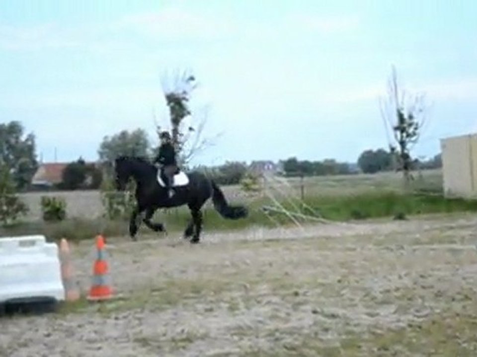wiske et natacha le 27/05/2011