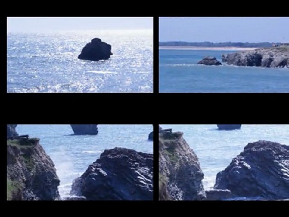 montage type
