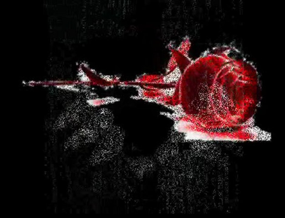 SEVEN ÇEKER ACIYI SEVMEYEN NE BİLSİN