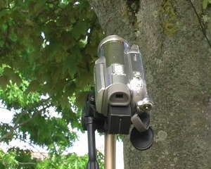 Des Refuges à Trégueux