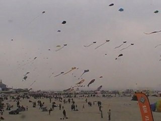 cerfs volants