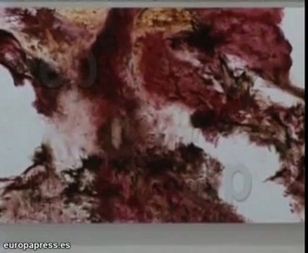 Carlos Leon en el Museo Arte Contemporáneo