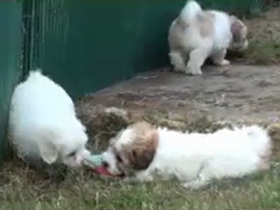 granola salma  30.05.11