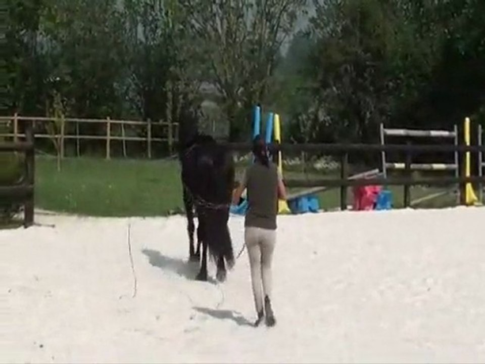 Anabelle des Puys  25 Avril 2011   4ème séance de longues rênes