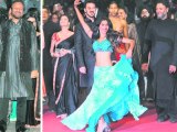 Sexy Fagun Thakrar More Popular Than Mallika Sherawat At Cannes 2011?