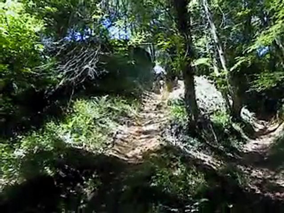 MOV00424