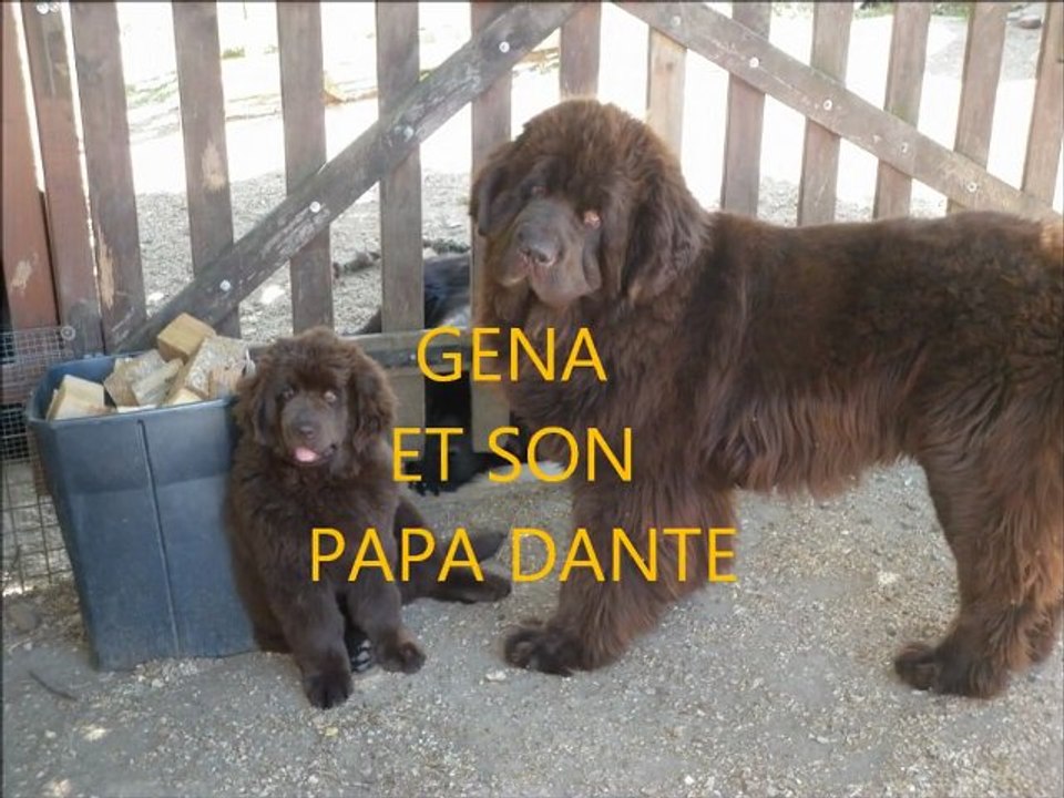 GENA ET DANTE 28-05-2011 DREUX