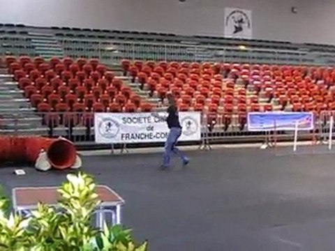 Eiko agility 1er degré foire comtoise 2011