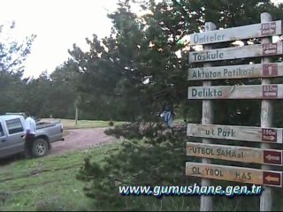 MERAKINA YENİLEN ÜNİVERSİTE ÖĞRENCİSİ ORMANDA KAYBOLDU