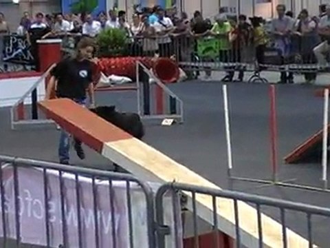 Eiko aglity GPF Foire Comtoise 2011