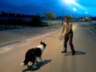 mon chien jack joue au rugby