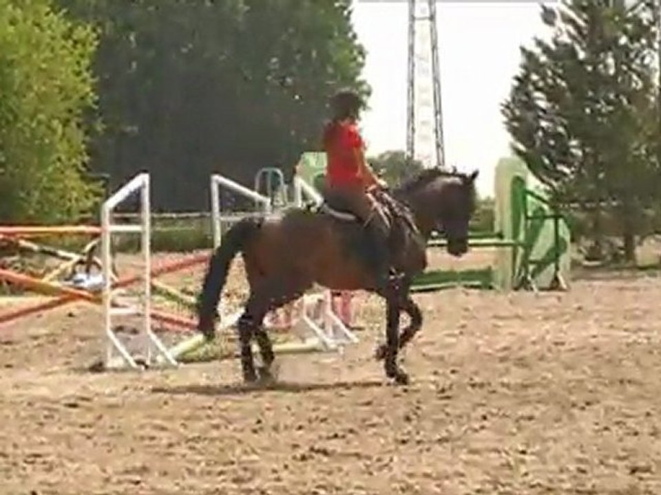 Alison et Zorro