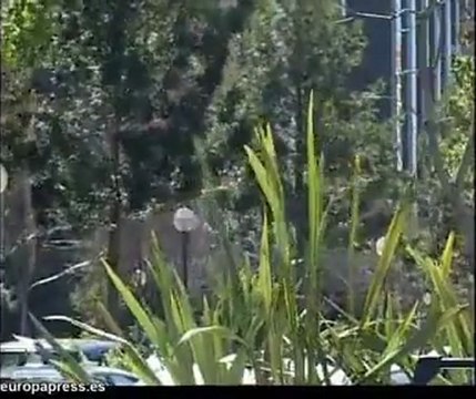 Preemergencia por vientos en Valencia