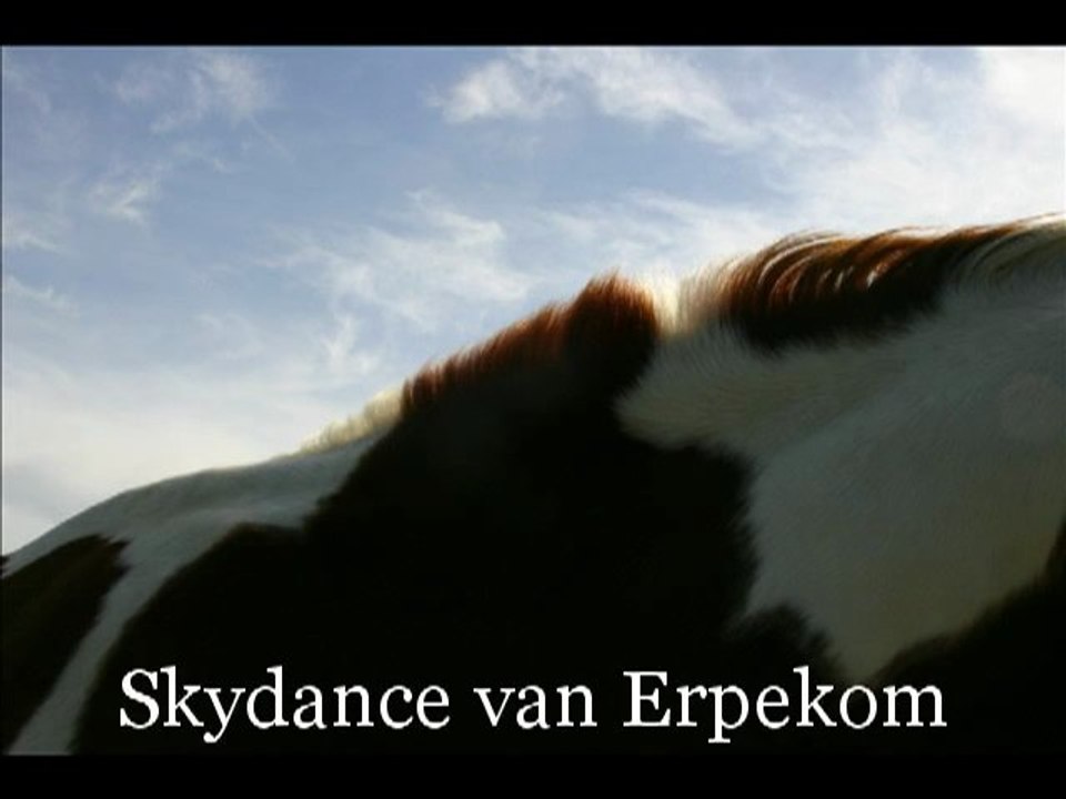 Skydance -