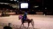 Carrousel poney Bayard UCPA - salon du cheval part3