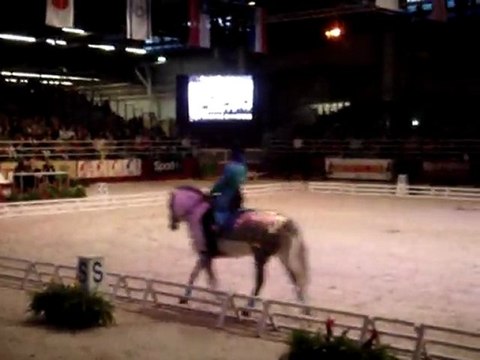 Carrousel poney Bayard UCPA - salon du cheval part3