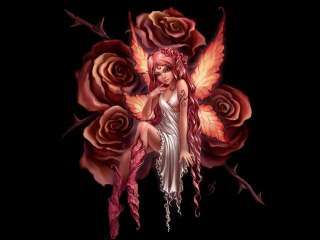 SMOKI FAZA 3 - Smoki Collection